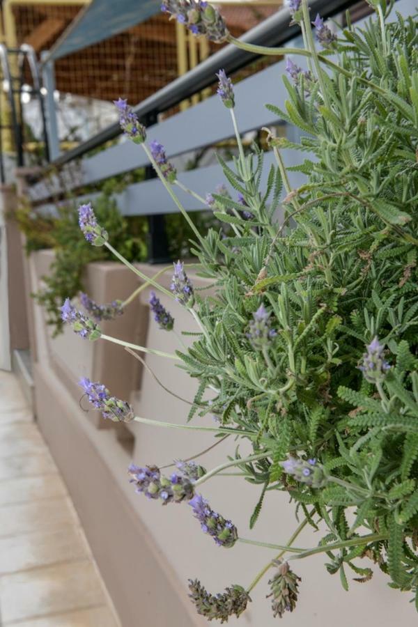 Aromatic Home Kissamos Exterior photo